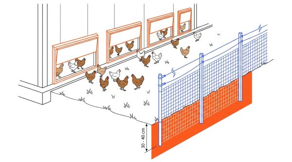 Trappes et clôture parcours extérieur poules