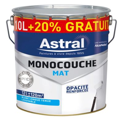 peinture acrylique monocouche peinture acrylique monocouche