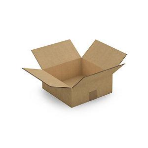 CAISSE CARTON BRUNE DOUBLE CANNELURE RAJA 25X25X10 CM