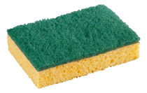 EPONGE ANTIBACTÉRIÈNNE SPONTEX