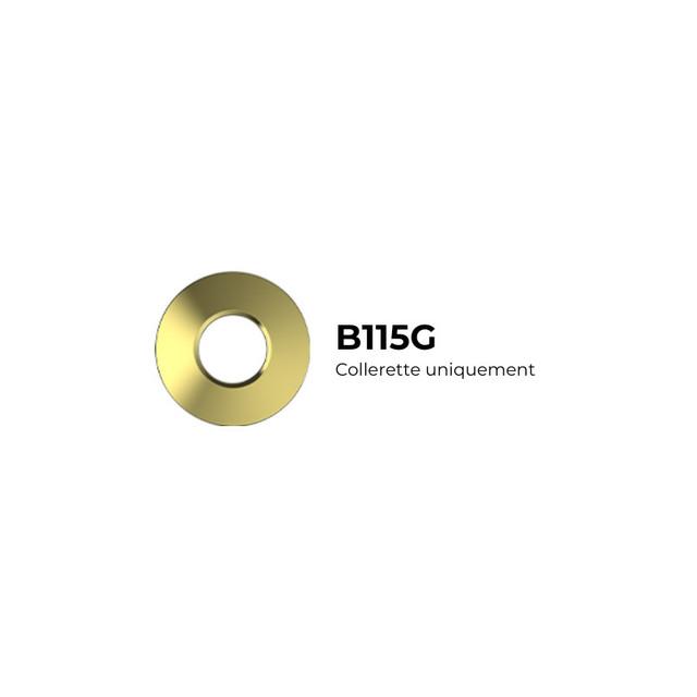 Collerette Or ronde magnétique pour TWO et CANIS - B115G - SOLUM_0