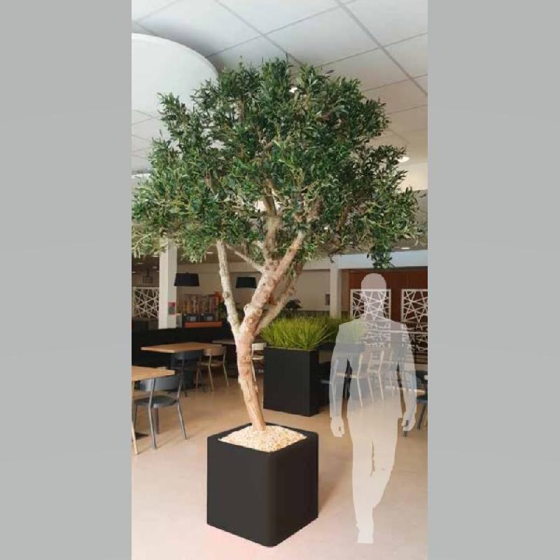 Olivier artificiel Genexco - Grand arbre d'intérieur 320 cm avec tronc naturel et feuillage réaliste_0
