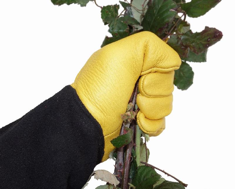 Gants anti-ronces et épines - cuir hydrofugé avec doublure polaire - tailles 8/9 ou 10/11_0