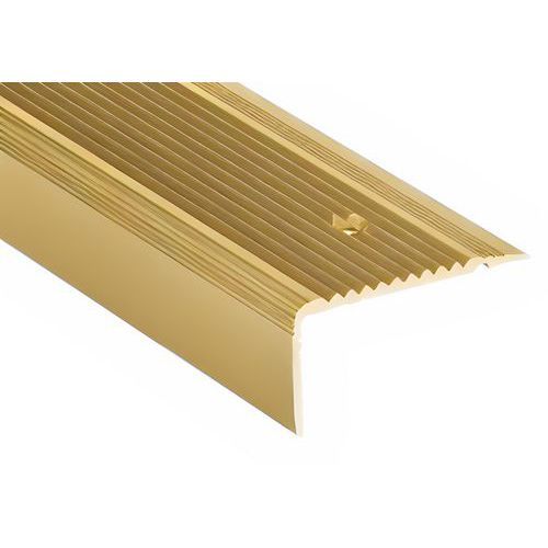 NEZ DE MARCHE CORNIÈRE RÉNOVATION - ALUMINIUM OR - 15M - WATTELEZ