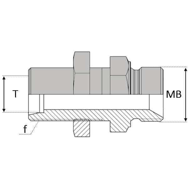 Droit mâle cloison 24° x mâle BSP pour bague BS - 1/2' , 20.95 , 20X150 , 13.25_0