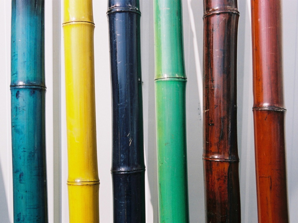  Tige  de bambou  color 