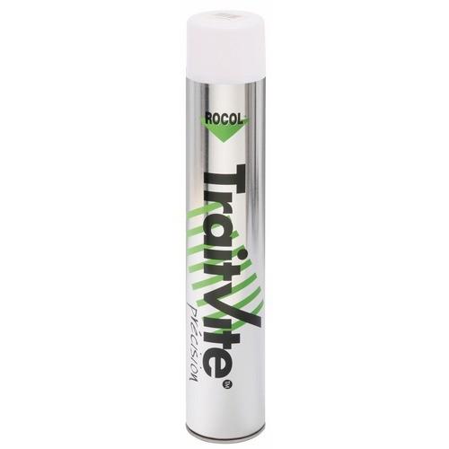 BOMBE DE MARQUAGE POUR TRAÇAGE AU SOL - 750 ML - TRAITVITE BLEU ROCOL