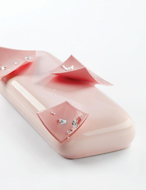 Venus - Moule silicone bûche Pavoni Italia_0