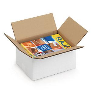 CAISSE CARTON BLANCHE DOUBLE CANNELURE RAJA 33,5X25X17 CM