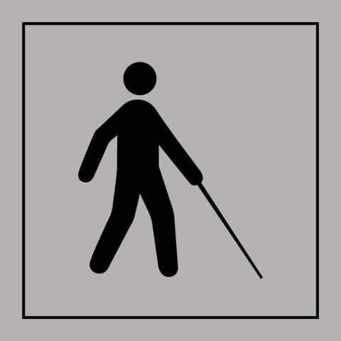 PICTOGRAMME - ACCESSIBILITÉ MALVOYANT OU AVEUGLE - GRAVOPLY - 350 X 350 MM - GRIS
