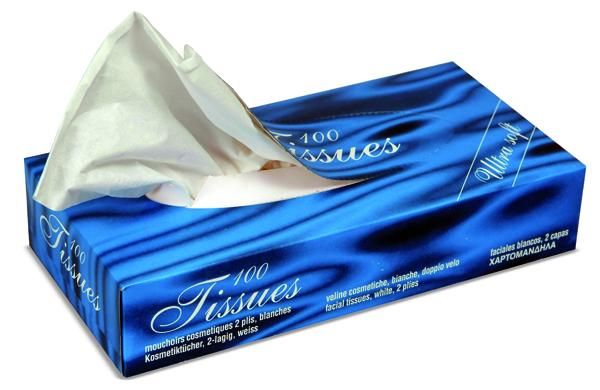 Boîte de mouchoirs en papier 2 épaisseurs blanc 100% ouate ECOLABEL