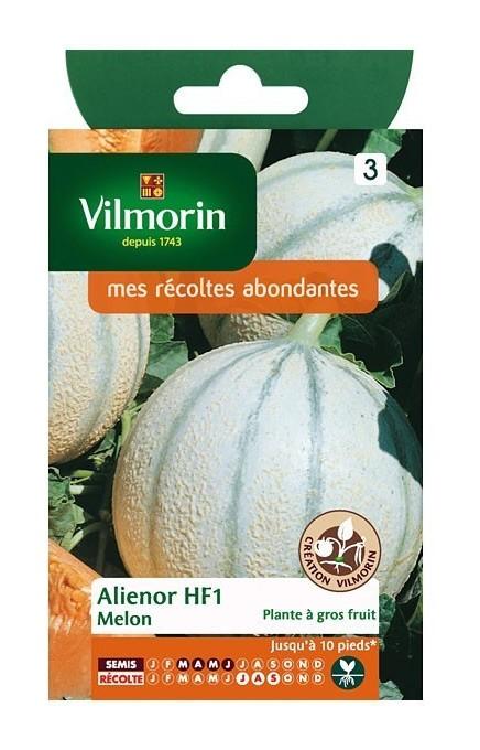 SACHET GRAINES MELON ALIENOR HF1 - VILMORIN