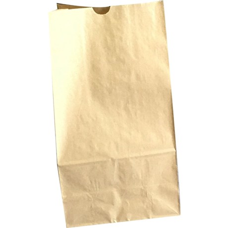 SAC PAPIER KRAFT 18 X 34 CM (VENDU PAR 100)