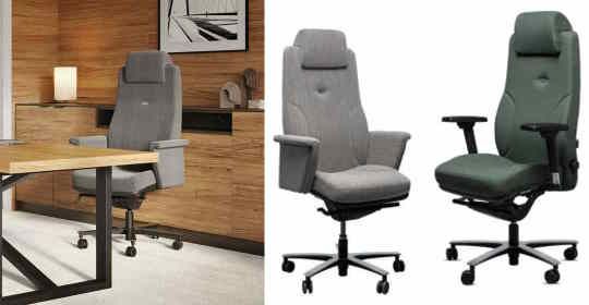 Fauteuil de bureau ergonomique EVER - Jusqu'à 165 kg - Grand confort et garantie 8 ans_0