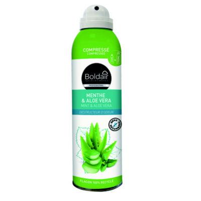 Désodorisant compressé Boldair Menthe et Aloe Vera 250 ml_0