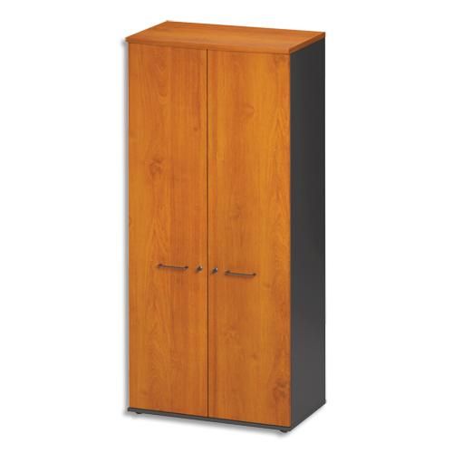 Gautier office armoire 2 portes pleines jazz aulne gris anthracite