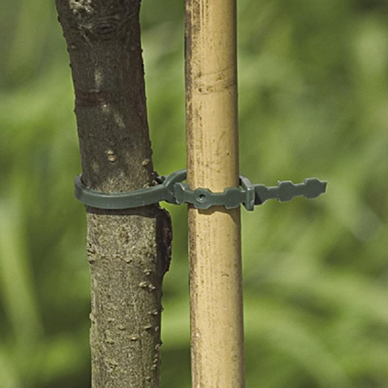 Lot de 40 liens pour arbres NORTENE - PVC vert - 0.15 m - Biodégradable non_0