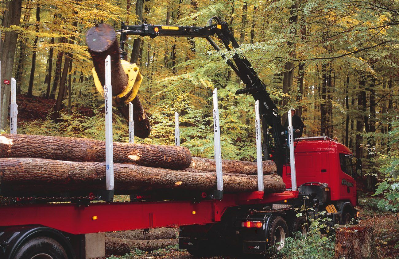 Loglift 265z grues forestières - hiab - d'une portée des extensions hydrauliques de 8,18 m et 9,46 m_0