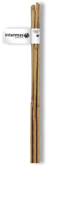 Tuteur bambou droit NORTENE - Hauteur 1.8 m - Bambou naturel, section 14 mm_0