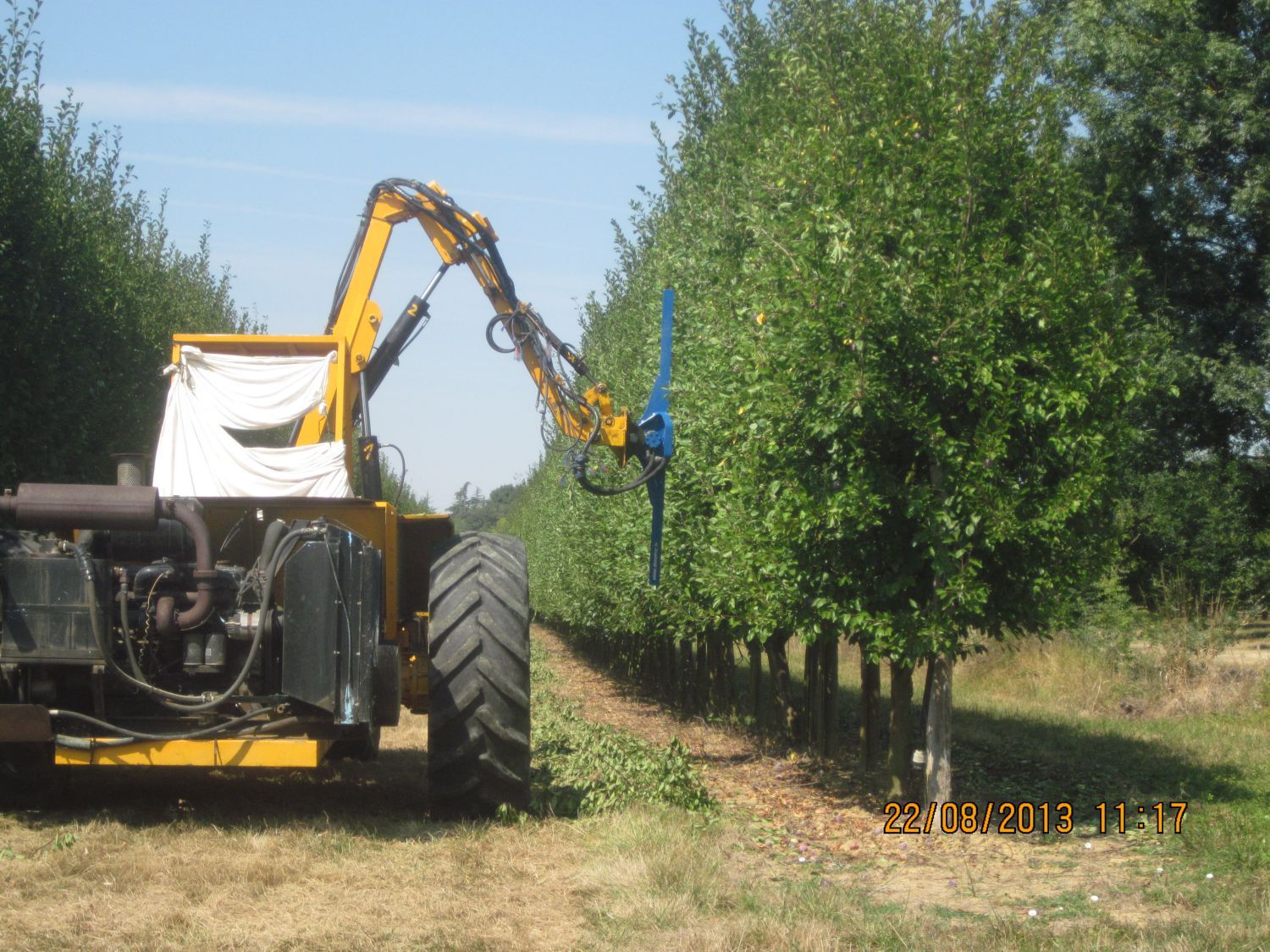 Taille-haie agricole