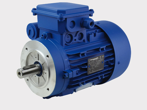 Moteur électrique monophasé 3000 tr/min - Taille 50 - B14 - 0,06 kW - Condensateur permanent - Protection IP55_0
