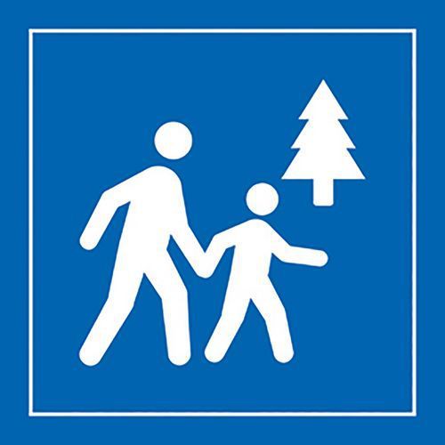 PICTO ESPACE ACCESSIBLE AU PUBLIC PVC BLANC/BLEU 350X350