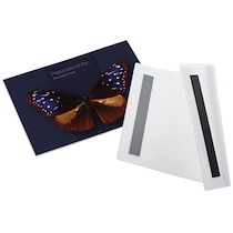 POCHETTE MAGNÉTIQUE MAGNETOFIX, A4 PORTRAIT - LOT DE 2