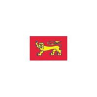 ORIFLAMME DE PROVINCE HISTORIQUE GUYENNE