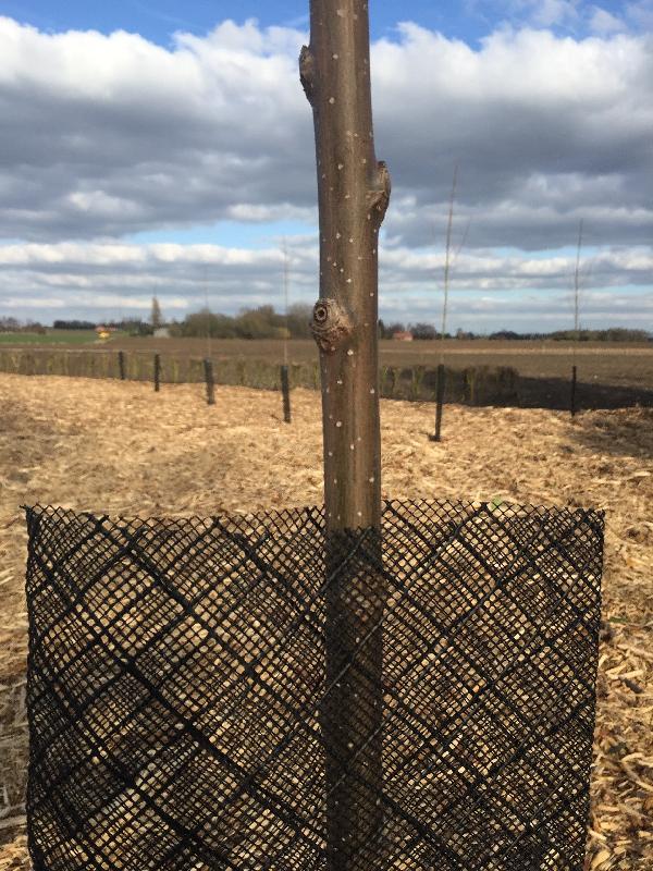 Gaine de dissuasion Forest MIXTE - 120 cm, 20 cm, 3 x 3, 190g/ml, 30 x 30 - protection et microclimat - Intermas_0