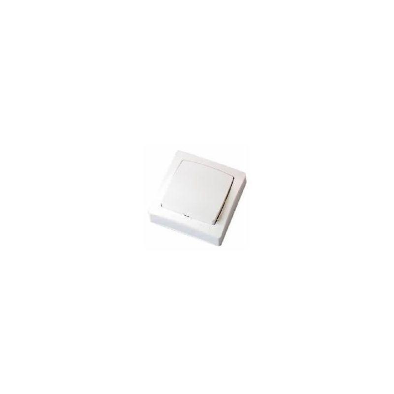 TENBY Interrupteur Blanc Uni Long Plat Fluo 2061 Comme les photos ci-dessous