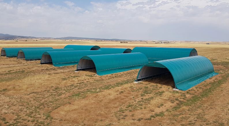 Tunnel d'élevage souple, économique et de qualité sans bloc béton_0
