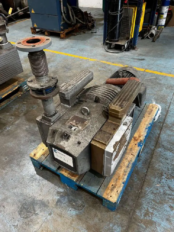 Pompe à vide à palettes sans huile becker dtlf 360 d'occasion - référence                        :                         c7731_0