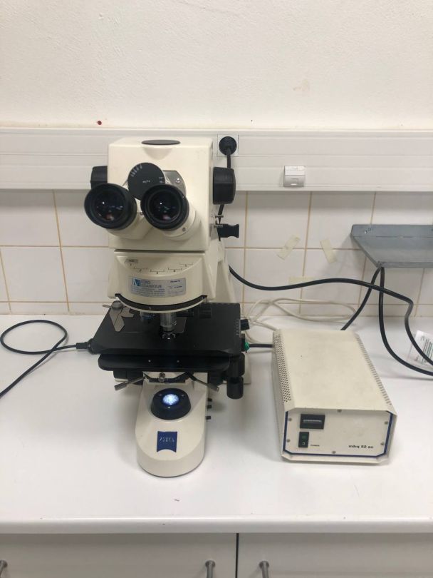 Microscope à immersion d'occasion de laboratoire médical - axioskop 40 carl zeiss_0