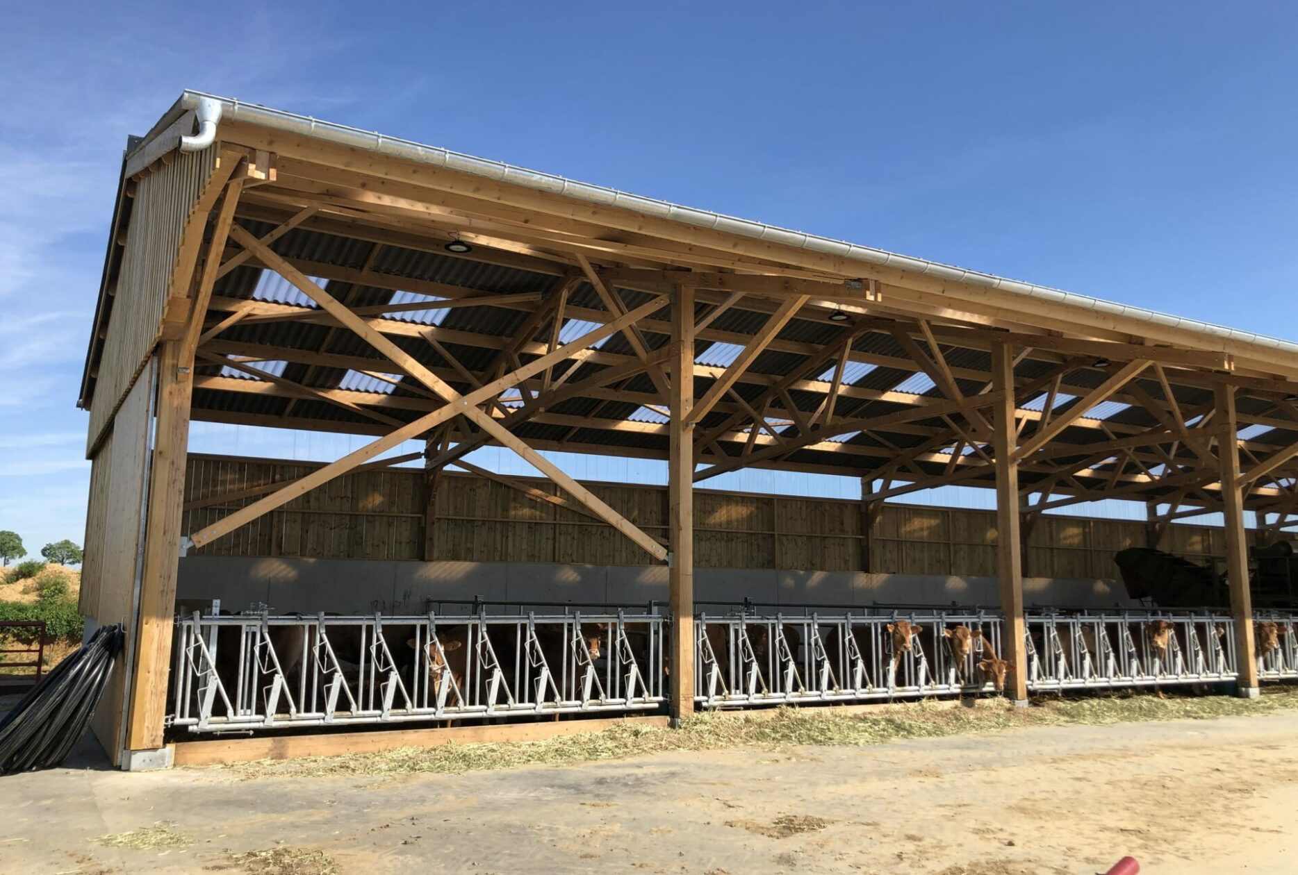 Bâtiment pour vaches allaitantes, sur mesure en bois - Stabulation libre, en aire paillée, en caillebotis, ou mixte_0