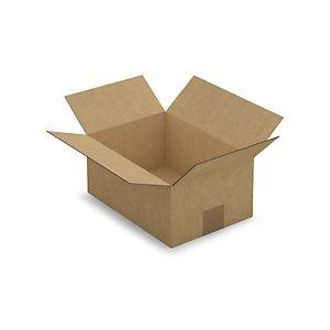 CAISSE CARTON BRUNE SIMPLE CANNELURE RAJA 27X19X12 CM