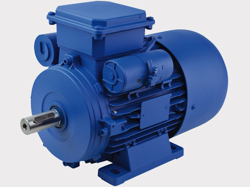 Moteur électrique monophasé 3000 tr/min - taille 80 - B3 - 0,75 kW - coupleur centrifuge - protection IP55_0