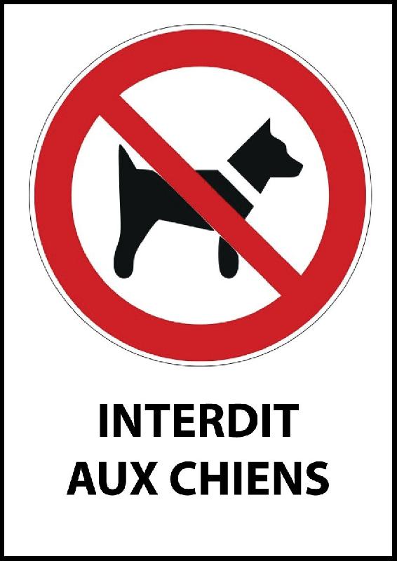 PANNEAU ISO EN 7010 - INTERDIT AUX CHIENS - P021  - 210 X 148 MM (A5) - PVC DOS ADHÉSIF