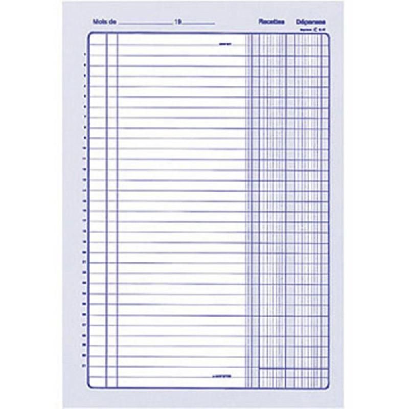 PIQÛRE RECETTES-DÉPENSES - FORMAT 29,7 X 21 CM - COULEUR BLANC ET BLEU