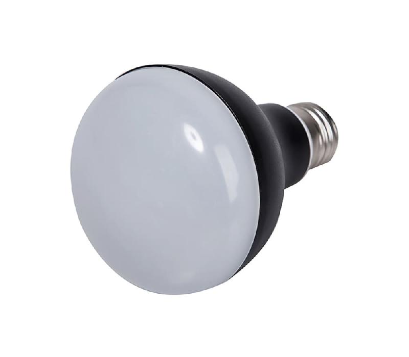 Ampoule LED aluminium R80 E27 - noir - 9 W, 700 lm, 4000 K - design et économique_0