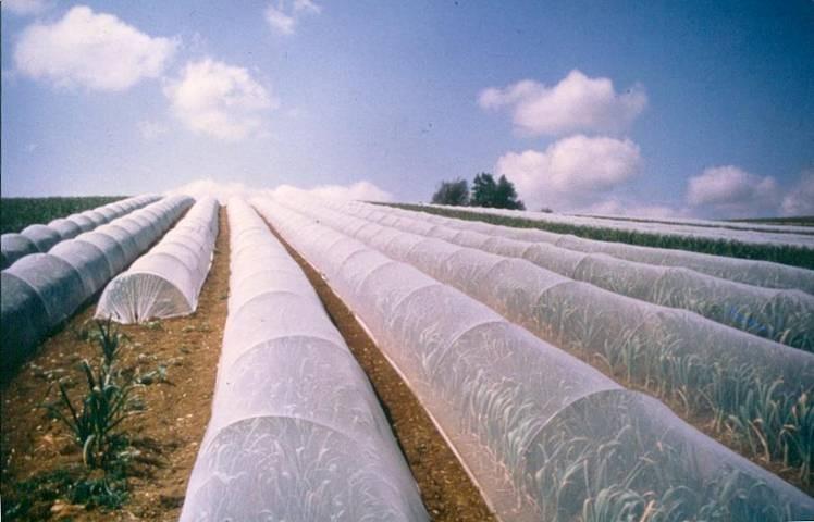 Filet anti-insectes Climabio* - 250 m, 6.4 m - protection cultures plein champ et sous abris_0