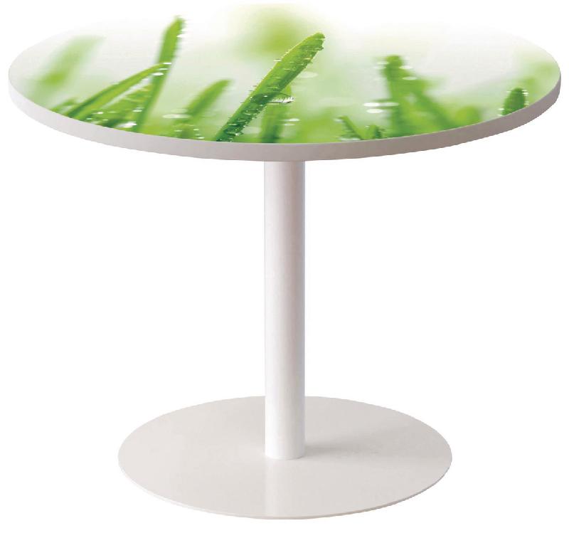 GUÉRIDON BAS EASY OFFICE PIED MÉTAL Ø 80 CM PLATEAU COLORIS DÉCOR NATURE - MANUTAN COLLECTIVITÉS