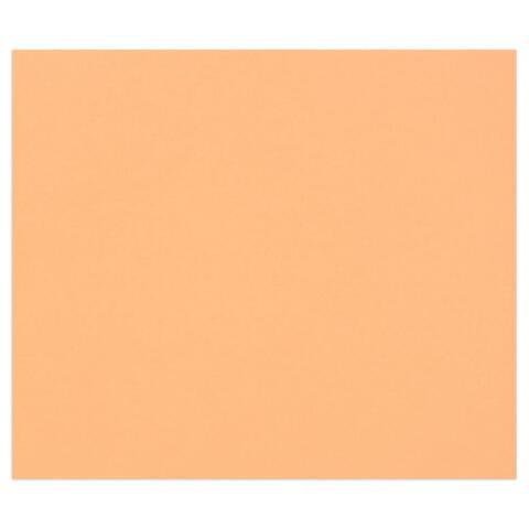 TULIPE RAME 25F 50X65CM 160G - SAUMON