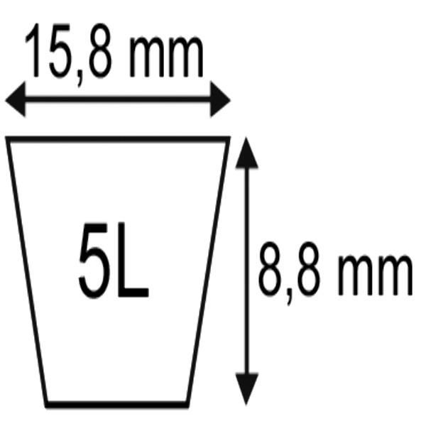 COURROIE PLATINIUM 5L27POUCES