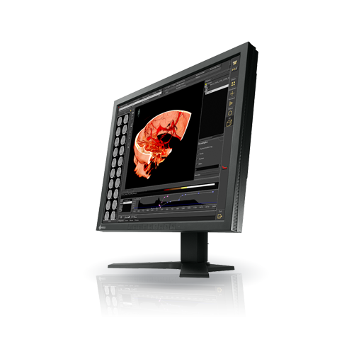 Ecran eizo radiforce rs110_0