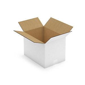 CAISSE CARTON BLANCHE DOUBLE CANNELURE RAJA 35X25X25 CM