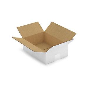 CAISSE CARTON BLANCHE SIMPLE CANNELURE RAJA 31X22X10 CM