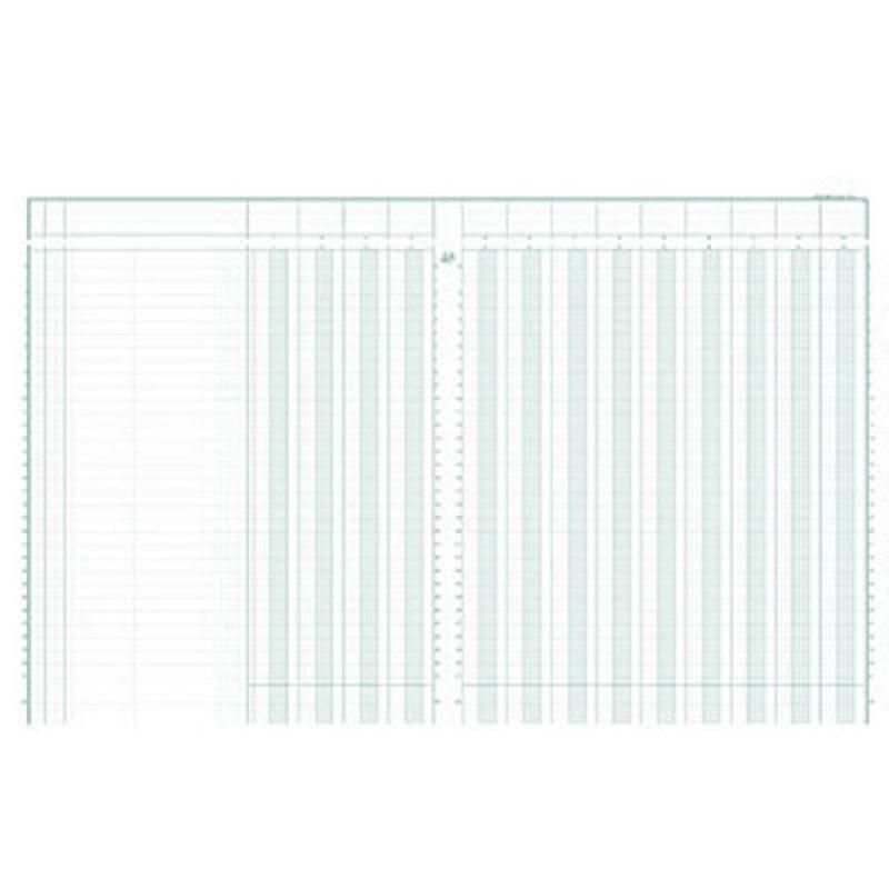 EXACOMPTA REGISTRE COMPTABLE À COLONNES - PIQÛRE MODÈLE 14130 - 32X25CM - 31 LIGNES - 13 COLONNES