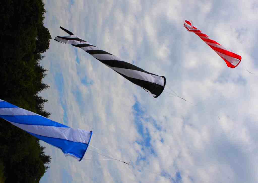 Turbine d'effarouchement anti-oiseaux - Kit de protection pour petites parcelles - Perche télescopique 5m et turbines colorées_0