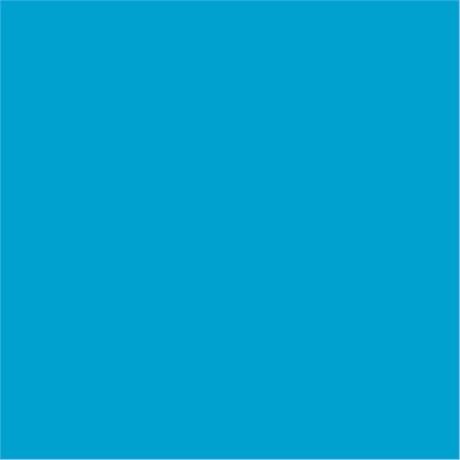 SERVIETTE DOUBLE POINT ECOLABEL 18 G/M² 39X39 CM TISSU BLEU TURQUOISE (VENDU PAR 1200)