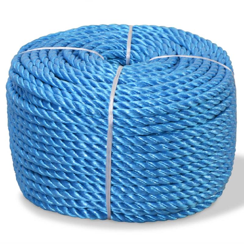 Vidaxl corde torsadée polypropylène 14 mm 100 m bleu 143848_0